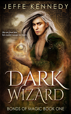 Dark Wizard book cover image