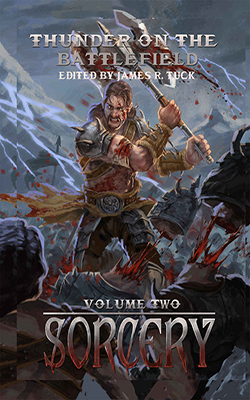 Thunder on the Battlefield: Sorcery (The Twelve Kingdoms) book cover image