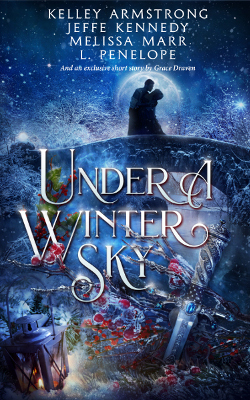 Under A Winter Sky book cover image